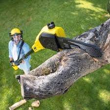 Landscape Design and Installation in Glouster, OH
