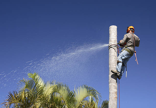 Best Lawn Watering Services  in Glouster, OH