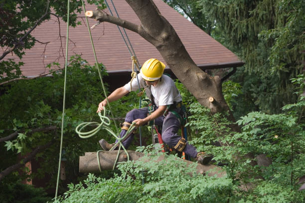 Best Soil Testing and Treatment  in Glouster, OH